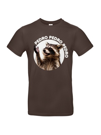Herren T-Shirt Pedro Raccoon Meme | grobejungs.de