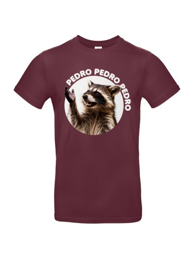 Herren T-Shirt Pedro Raccoon Meme | grobejungs.de